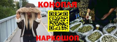 МДПВ Дубна