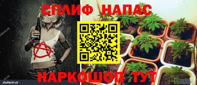 МДПВ Дубна