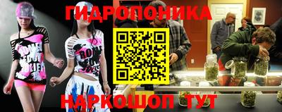 МДПВ Дубна