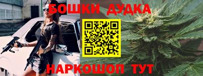 МДПВ Дубна