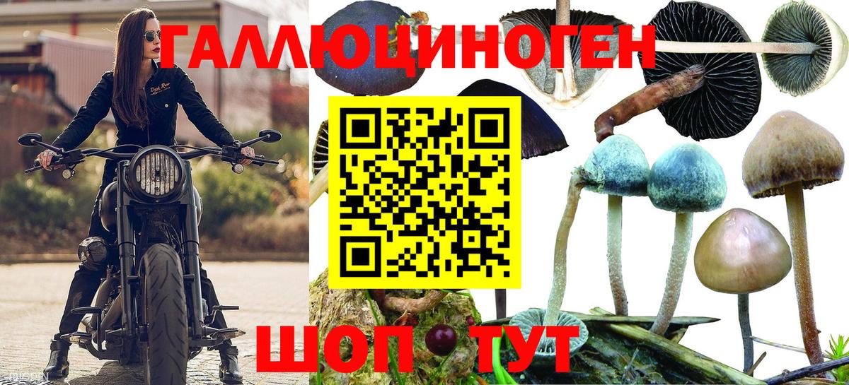 Псилоцибиновые грибы MAGIC MUSHROOMS  Вход с VPN  Курчатов  Псилоцибиновые грибы Psilocybine cubensis 