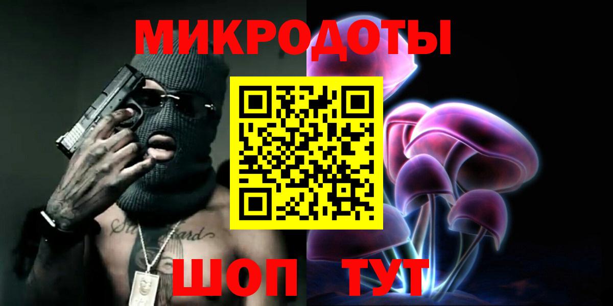Псилоцибиновые грибы Psilocybe Курчатов